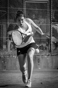 Ausschnitte 2688 - Holmer Open